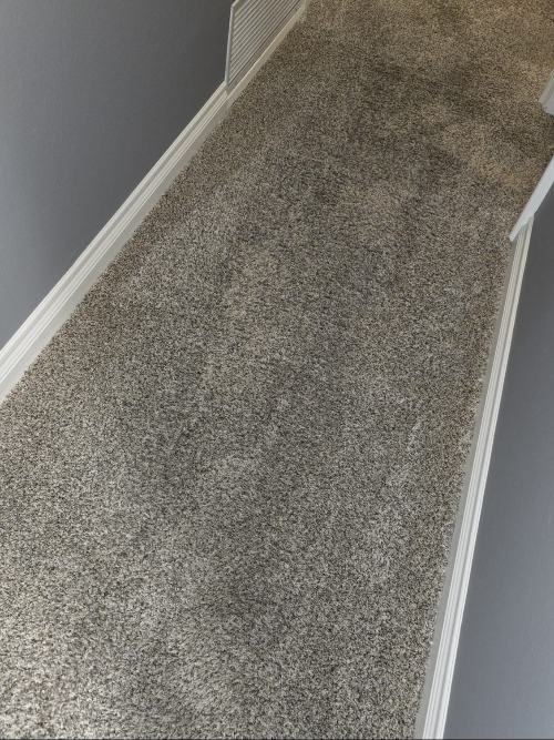 E&K Carpet Cleaning Professionals E&K Carpet Cleaning Professionals, carpet cleaning in Holiday